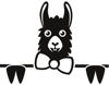 Llama guy Llama guy